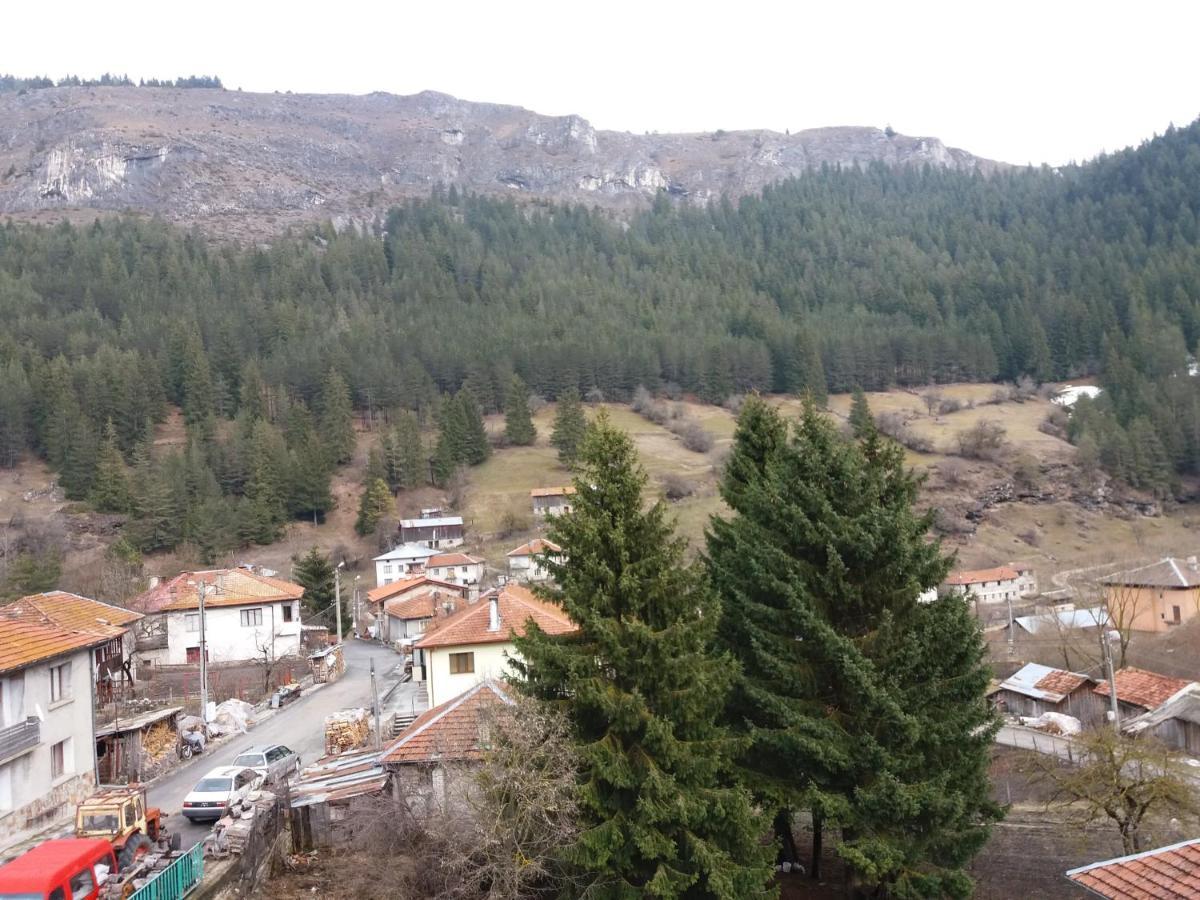 Къща за гости Камината Триград Екстериор снимка